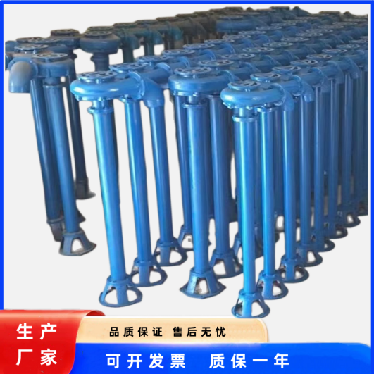 立式污水泵